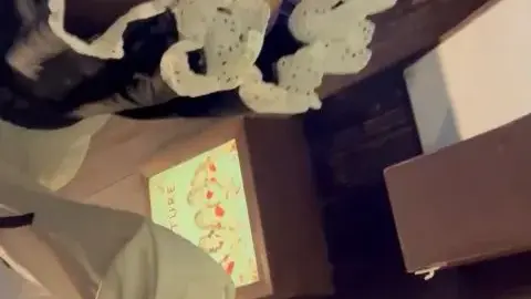 Asian Maid in Explicit Poses