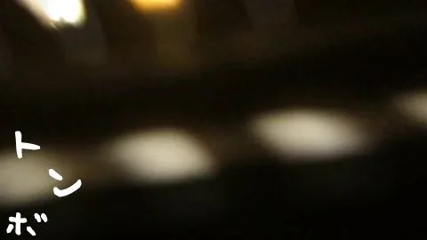 Asian Girl in Closet