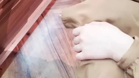 K1 – Nozokareta Palpis 54977