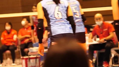 Asian Volleyball Team Fierce Athletic Physiques