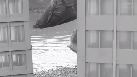 Asian Woman in Red Costume Outdoor Escapade