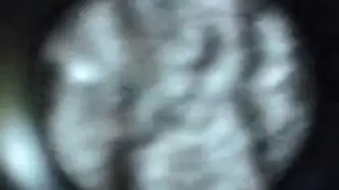 Outdoor Intimate Moments with Young Couple