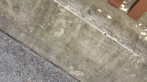 Asian Teen Lies Down for Intimate Moment