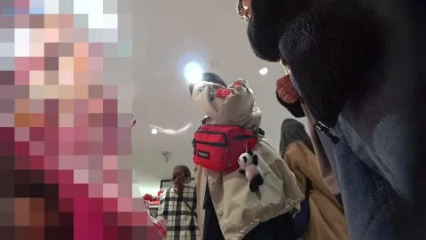 POV Brunette Interacting and Browsing