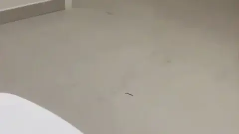 Incest with sister on Valentines Day – Masturbation