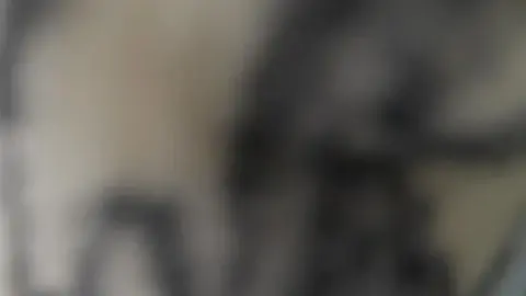 DevilBrother – Sister Fucked Hard