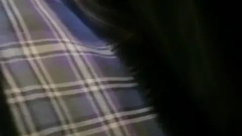 Chikan Seifuku 03 – Groped in Uniform