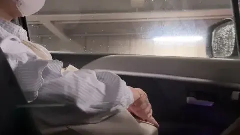 Masked Couple in Car Intimacy