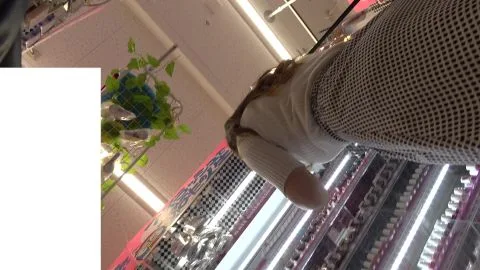 Asian teen intimate moments