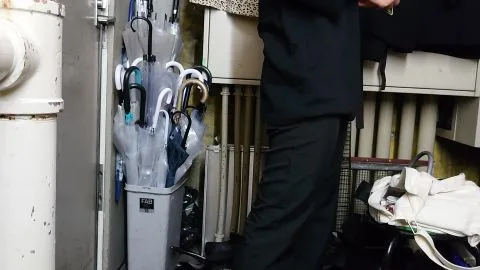 Palpis Kigae Part 27