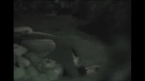 FU10 – Night Crawling 200